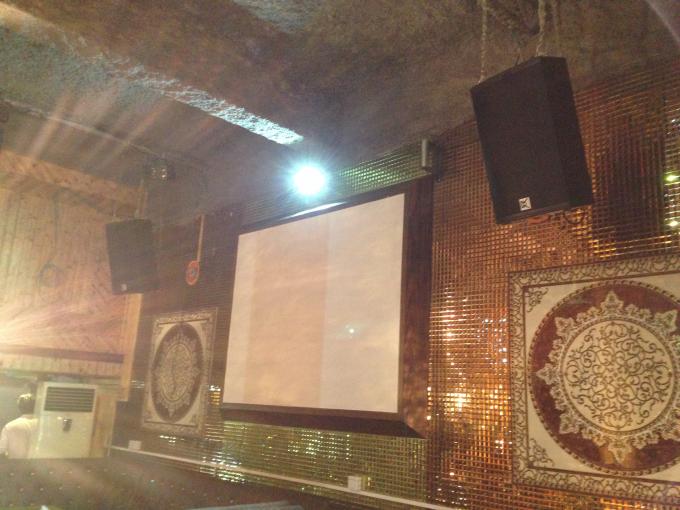 OEM/ODM sains de haut-parleur de système passif de PA de plafond de karaoke pro